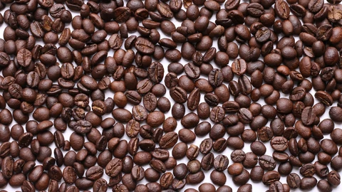 Cà phê nguyên chất là gì? Cách nhận biết, phân biệt